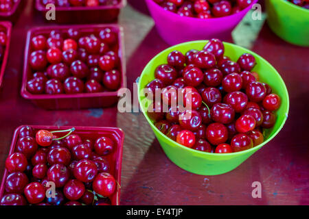 Fresche ciliege rosse per la vendita al mercato Foto Stock
