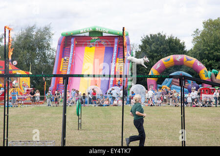 Lambeth Paese mostrano Brockwell Park Londra Inghilterra REGNO UNITO Foto Stock