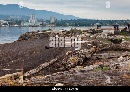 Driftwood da le attività di esbosco a fini commerciali lavato fino sulla protezione isola tutta da Nanaimo, British Columbia Foto Stock