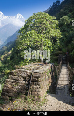 Ponte di sospensione sul circuito di Annapurna Foto Stock