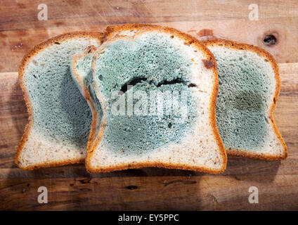 Stampo in rapida crescita sul pane ammuffito in verde e bianco spore Foto Stock