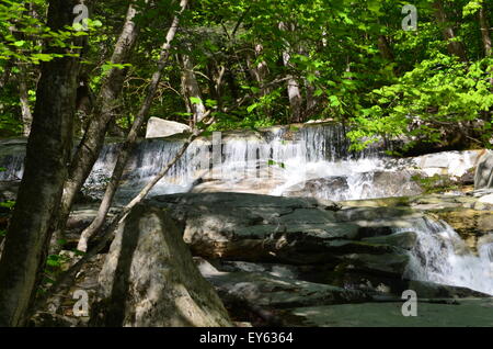 Le cascate di un torrente di montagna Foto Stock