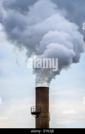 Il fumo da industriale camino Foto Stock