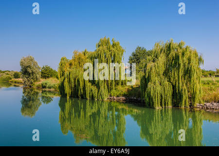 Veneto Parco naturale del fiume Sile - Trapelade Foto Stock