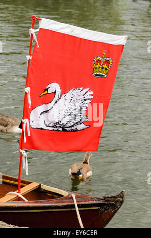 Henley-on-Thames, Oxfordshire RG1ESSERE, Regno Unito 22 Giugno 2015. La bandiera del Queen's Swan marcatore alla parte anteriore della sua barca.. Swan batte in volata è il censimento annuale della popolazione di cigno sul Tamigi tra Middlesex e Oxfordshire. Credito: Michael Winters/Alamy Live News Foto Stock