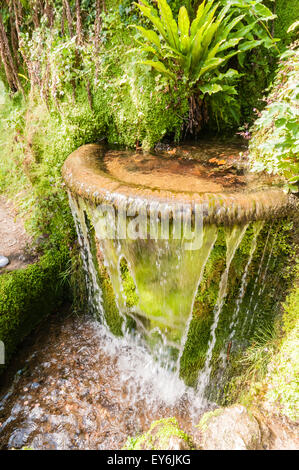 Caratteristica dell'acqua nel giardino giapponese a al Powerscourt, Irlanda Foto Stock