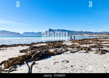 False Bay spiaggia vicino Kalk Bay Città del Capo Sud Africa, con Fish Hoek a distanza Foto Stock