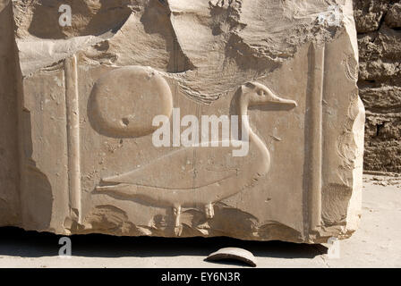 Karnak Luxor Egitto. Tempio di Karnak sacro al dio Amon. Il hieroglyph rappresentando un parole: Figlio di Ra Foto Stock