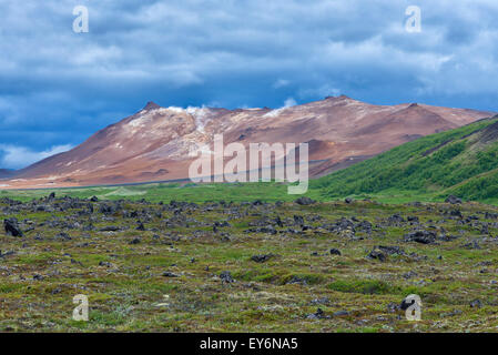 Area geotermale Hverir, Islanda Foto Stock