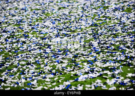 Un sacco di coriandoli sul tappeto erboso di un campo di calcio dopo un momento di festa Foto Stock