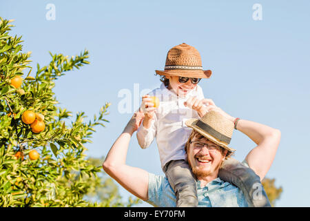 Padre Felice con il suo giovane figlio divertirsi sulla fattoria di agrumi Foto Stock