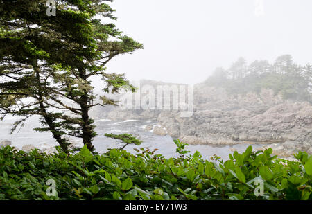 Foggy costa rocciosa con alberi, sulla Wild Pacific Trail, vicino Ucluelet sull'Isola di Vancouver, British Columbia, Canada. Foto Stock