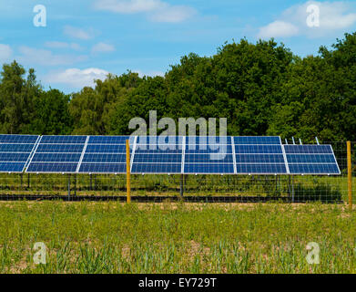 Fotovoltaico o pannelli fotovoltaici su una fattoria solare nel Nottinghamshire Inghilterra UK usata per generare clean green energie rinnovabili Foto Stock