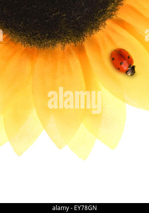 Ladybug seduto su un girasole Foto Stock