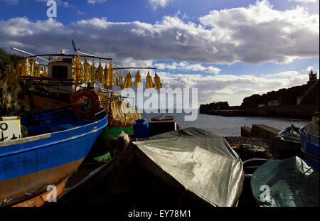 Barche da pesca in terra Foto Stock