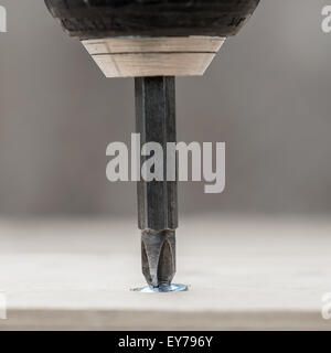 Avvitando la vite nel tavolato in legno, primo piano Foto Stock