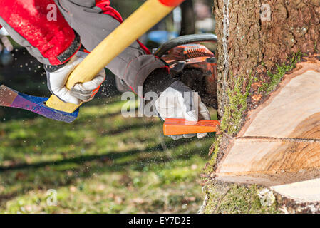 Abbattimento della treeWorker abbattimento della struttura ad