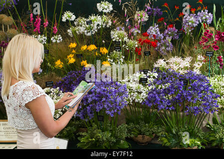 Cheshire, Regno Unito. 23 Luglio, 2015. Ashleigh Edwards, 24 anni da Southport nel Merseyside, ammirando il premiato display Nana di lampadine e Agapanthus al XVII RHS annuale Tatton Park festival dei fiori a Tatton Park a Knutsford, Cheshire. Credito: Cernan Elias/Alamy Live News Foto Stock