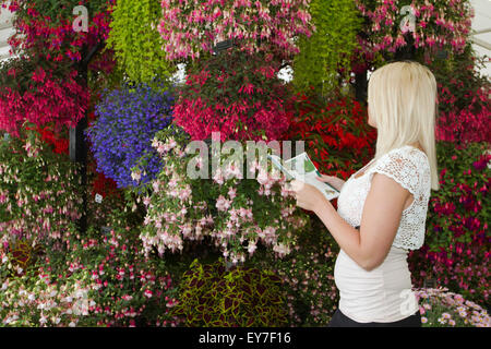 Cheshire, Regno Unito. 23 Luglio, 2015. Ashleigh Edwards, 24 anni da Southport ammirando la medaglia d'Oro Fuchias vincente al XVII RHS annuale Tatton Park Flower Show. Credito: Cernan Elias/Alamy Live News Foto Stock