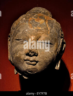 Testa di pietra di Buddha dinastia Tang (ad 618-690 e 705-907) al Museo di Shanghai di Antica Arte Cinese Cina Foto Stock