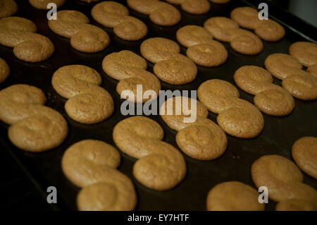 Azeitão è una parrocchia civile nel Comune di Setubal, Portogallo. Essa è stata costituita nel 2013 dalla fusione delle ex parrocchie di São Lourenço e São Simão. La popolazione del 2011 è stata 18,877 una zona di 69.32 km². Essa è composta da un gruppo di piccoli "aldeias' o piccoli villaggi, alcuni di questi sono: Vila Fresca de Azeitão, Vila Nogueira de Azeitão, Brejos de Azeitão, Aldeia de Irmãos, Vendas de Azeitão. Due delle città più vicine sono Setúbal palmela e. Foto Stock