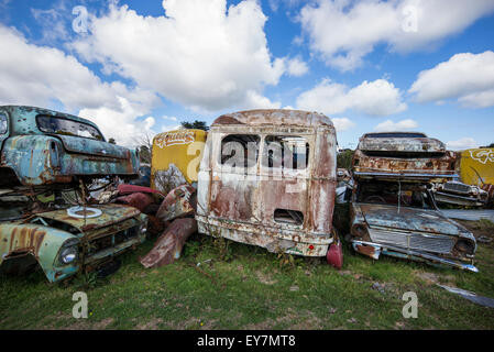 I rottami di automobili in un cantiere di interruttori, Isola del nord, Nuova Zelanda. Foto Stock