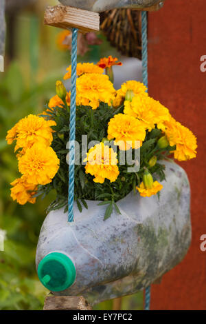 Tatton Park, Cheshire, Regno Unito. Il riutilizzo, il riciclaggio Riciclaggio di plastica bottiglia di latte contenitori, come pianta titolari, all'annuale xvii Tatton Park a Knutsford, Cheshire. Credito: Cernan Elias/Alamy Live News Foto Stock