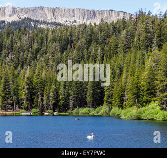 White Bird e fisherman in Twin Laghi Mammoth Lakes Basin Foto Stock