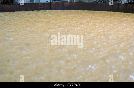 Borbone in un serbatoio di mescolanza di bolle come fermenti Foto Stock