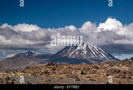 Il monte Ngauruhoe nel Parco Nazionale di Tongariro, Manawatu-Wanganui, Nuova Zelanda Foto Stock