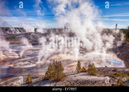 Vapore In Norris Geyser Basin Foto Stock