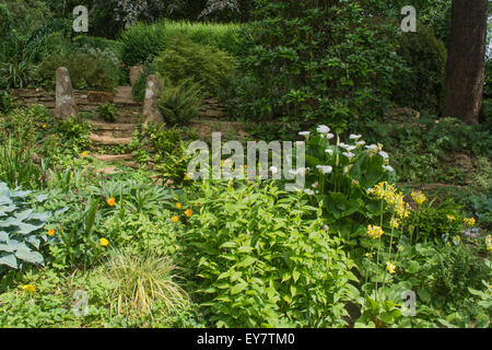 Aiuole a Coton Manor Gardens, Nr Guilsborough, Northamptonshire Foto Stock