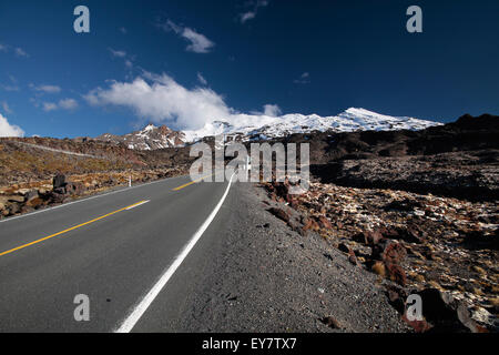 Strada per il Monte Ruapehu, parco nazionale di Tongariro, Nuova Zelanda Foto Stock