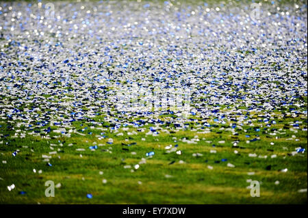 Un sacco di coriandoli sul tappeto erboso di un campo di calcio dopo un momento di festa Foto Stock