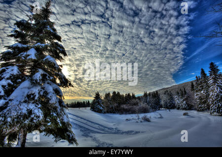 Immagine hdr di neve invernale scena in New Brunswick, Canada. Foto Stock