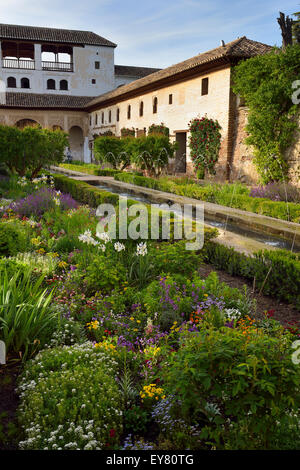 Fiore giardino nella corte del canale di acqua in corrispondenza dei sultani nord Pavillion Generalife Granada Foto Stock