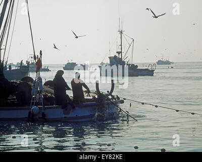 I pescatori reti di carico pieno di aringa off Sausalito, California Foto Stock