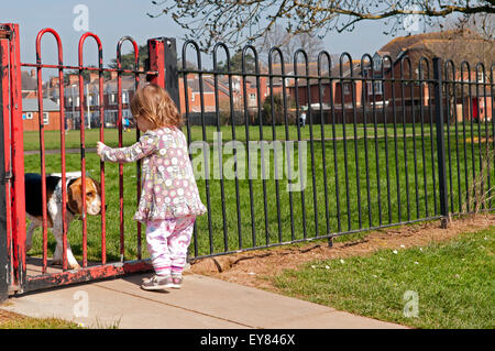 Il Toddler guardando attraverso il parco giochi di ringhiere in corrispondenza di un cane Foto Stock