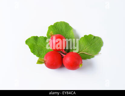 Rosso fresco ravanelli su sfondo bianco Foto Stock