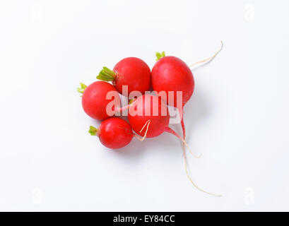 Rosso fresco ravanelli su sfondo bianco Foto Stock