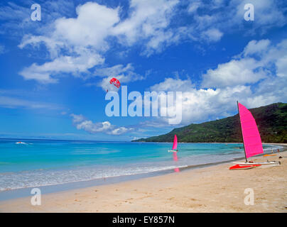 Catamarano sulla riva sabbiosa spiaggia e sull'acqua sotto parasailor sull'Isola di Mahe in Seychelles Foto Stock