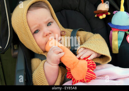 Ritratto di bambina seduto nel suo pram masticare un giocattolo morbido Foto Stock