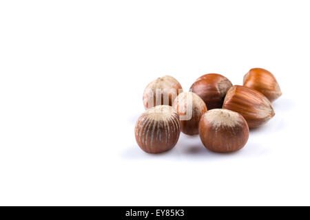 Le nocciole noci nocciole isolati su sfondo bianco Foto Stock