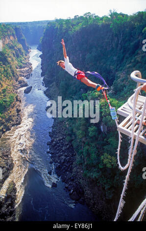 Il Bungy o il bungee jumping off 152 metro alto Victoria Falls ponte sopra il fiume Zambezi tra lo Zimbabwe e Zambia Foto Stock