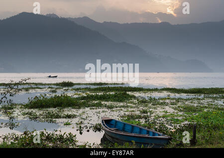 Barche a remi sul lago Phewa, Pokhara, Nepal Foto Stock