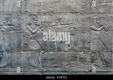 Luxor, Egitto. Tempio di Luxor: il faraone incensa il dio Min Foto Stock