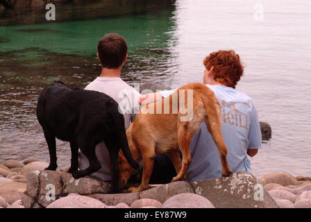 Due ragazzi adolescenti seduto su di una spiaggia rocciosa e giocare con i loro cani Foto Stock