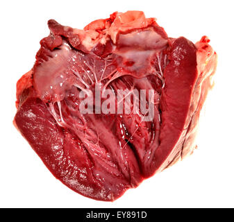 Agnello il cuore ha acquistato da un supermercato. Interno mostra 'heartstrings' (i tendini) Foto Stock