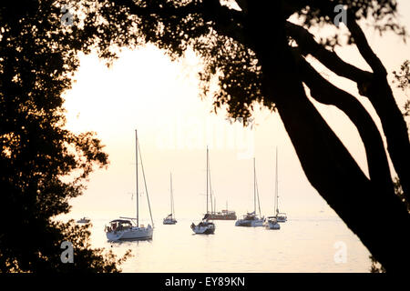 Una vista di un gruppo di barche a vela ancorate nel mare Adriatico al tramonto a Rovigno Croazia. Foto Stock