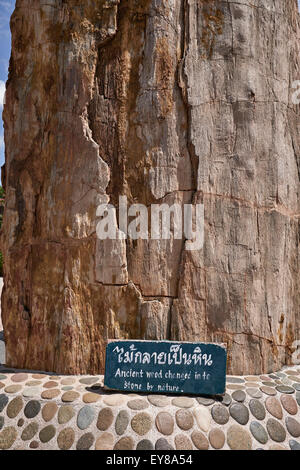 Legno pietrificato che si trasforma in pietra come fenomeno naturale. Milione anno Stone Park Pattaya Chonburi Thailandia S. E. Asia Foto Stock